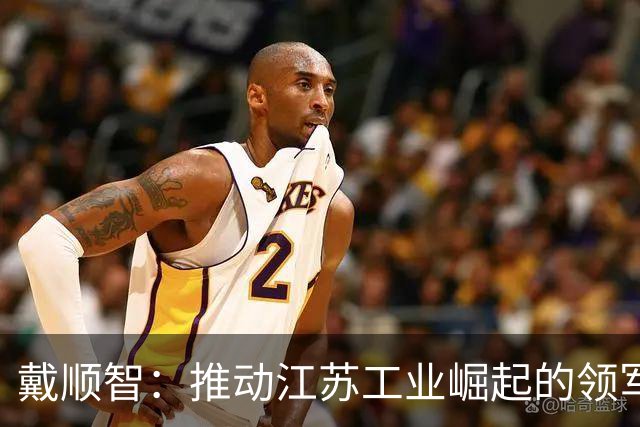 戴顺智：推动江苏工业崛起的领军人物
